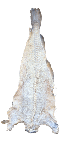 Cod Fish